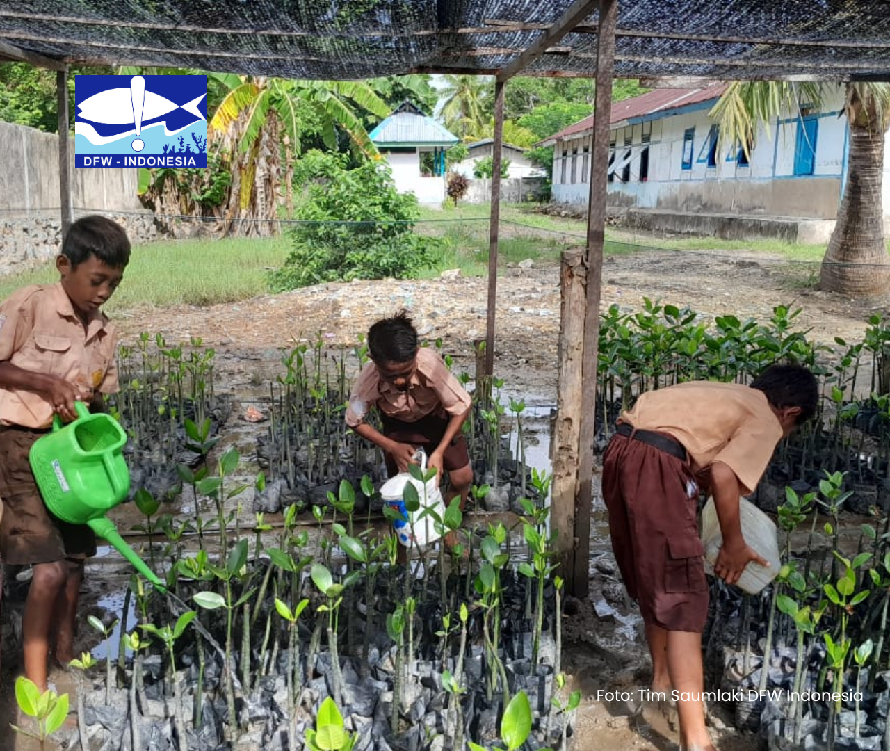 Rehabilitasi Mangrove Desa Bomaki sebagai Upaya Pemulihan Ekosistem Pesisir di Kabupaten Kepulauan Tanimbar